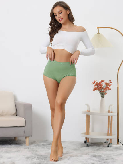 Allegra K- High Waist Stretch Briefs Panties