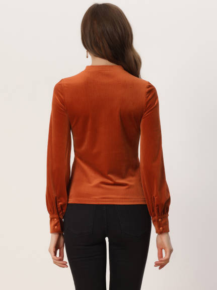 Allegra K- Velvet Crew Neck Puff Long Sleeve Velour Blouse