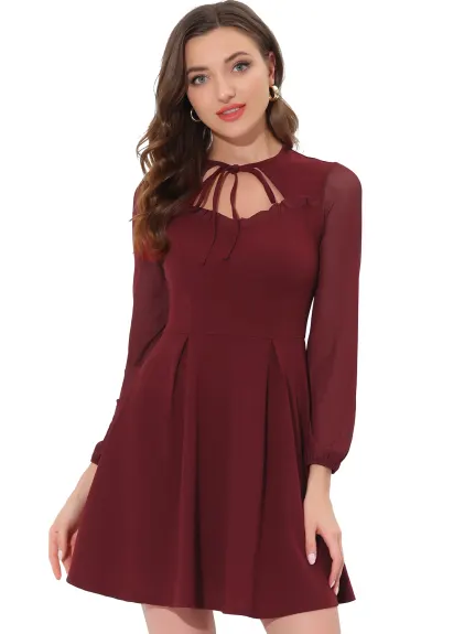 Allegra K- Tie Neck Ruffled Mesh Long Sleeve Mini Dress