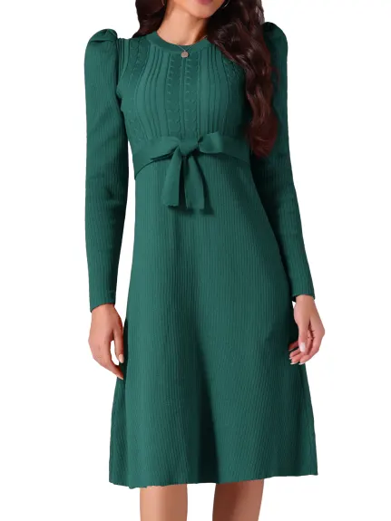 INSPIRE CHIC - Puff Long Sleeve Tie Waist Midi Dress