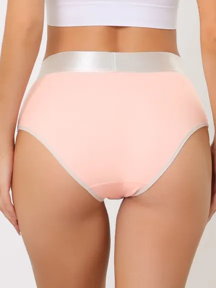 Allegra K- High Waisted Tummy Control Brief Panties