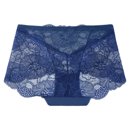 Allegra K- Lace Floral High Waisted Brief Panties