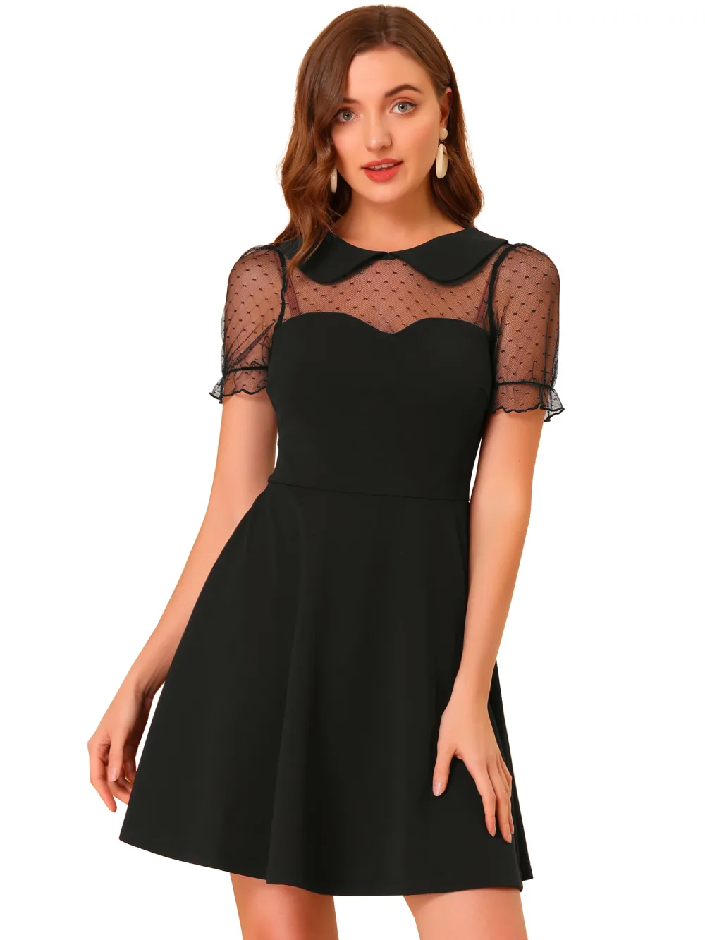 Allegra K- Retro Peter Pan Collar A-Line Mesh Sleeve Dress