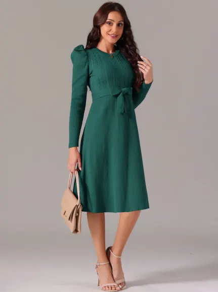 INSPIRE CHIC - Puff Long Sleeve Tie Waist Midi Dress