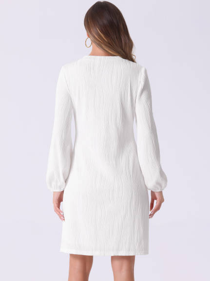 Allegra K - Elegant Puff Sleeve Textured Dress