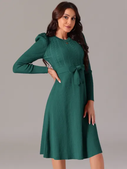 INSPIRE CHIC - Puff Long Sleeve Tie Waist Midi Dress