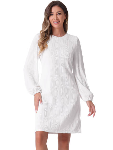 Allegra K - Elegant Puff Sleeve Textured Dress